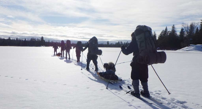 A group of cross country skiers make their way across a snowy landscape in a line. Some of them carry backpacks, while others pull small sleds. 